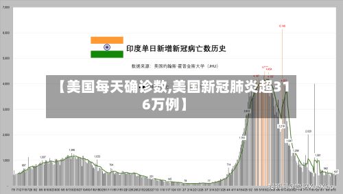【美国每天确诊数,美国新冠肺炎超316万例】-第3张图片