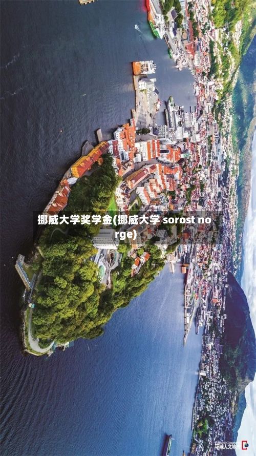 挪威大学奖学金(挪威大学 sorost norge)