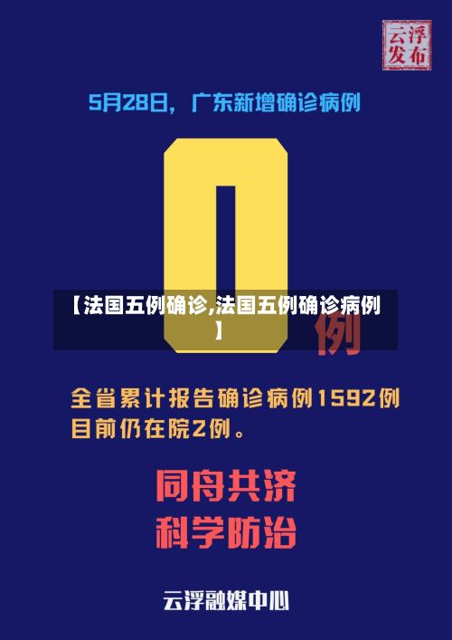 【法国五例确诊,法国五例确诊病例】-第3张图片