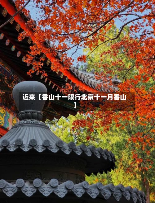 近来【香山十一限行北京十一月香山】-第2张图片