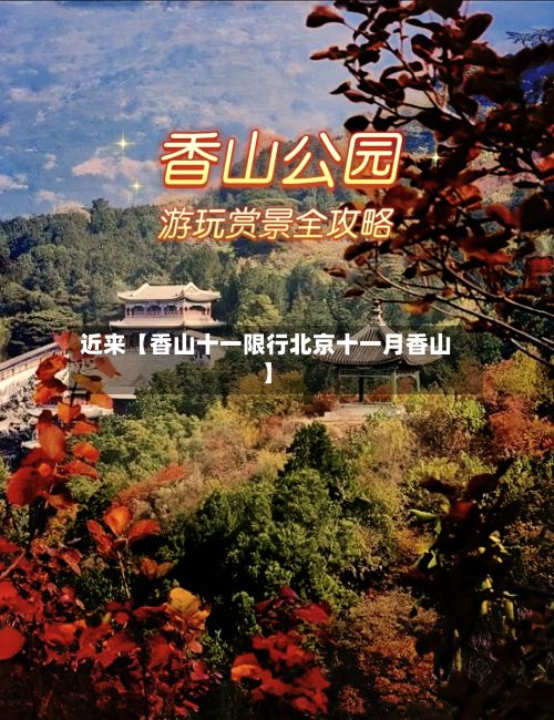 近来【香山十一限行北京十一月香山】-第3张图片