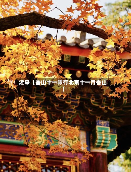 近来【香山十一限行北京十一月香山】