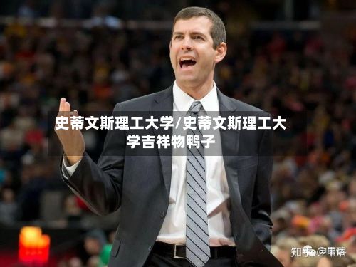 史蒂文斯理工大学/史蒂文斯理工大学吉祥物鸭子