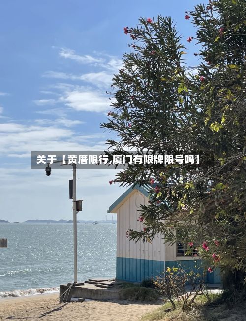 关于【黄厝限行,厦门有限牌限号吗】-第2张图片