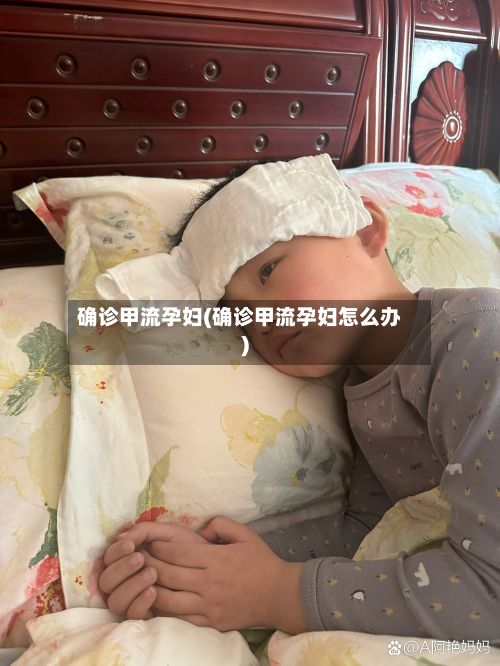确诊甲流孕妇(确诊甲流孕妇怎么办)-第2张图片