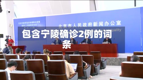 包含宁陵确诊2例的词条