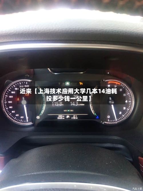 近来【上海技术应用大学几本14油耗投多少钱一公里】-第3张图片
