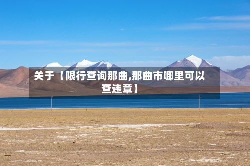 关于【限行查询那曲,那曲市哪里可以查违章】-第3张图片
