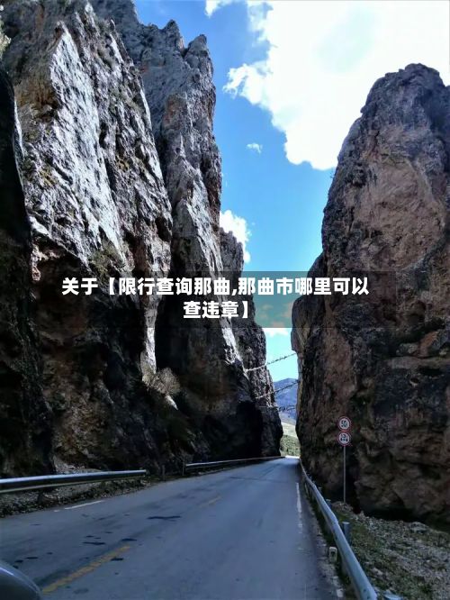 关于【限行查询那曲,那曲市哪里可以查违章】-第2张图片