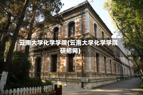 云南大学化学学院(云南大学化学学院研招网)-第2张图片