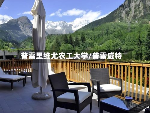 普雷里维尤农工大学/普雷威特-第2张图片
