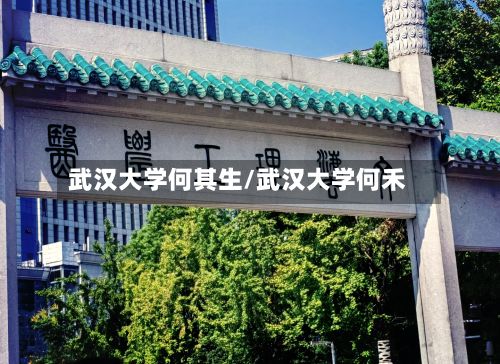 武汉大学何其生/武汉大学何禾