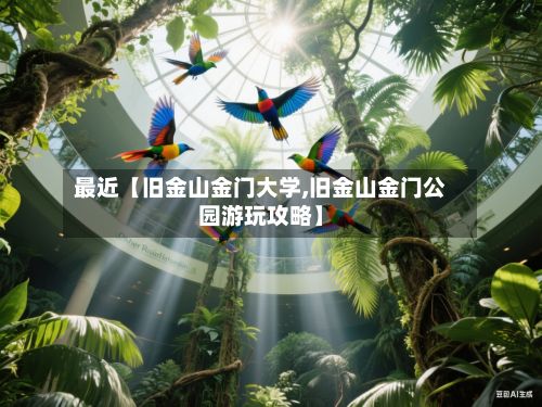 最近【旧金山金门大学,旧金山金门公园游玩攻略】