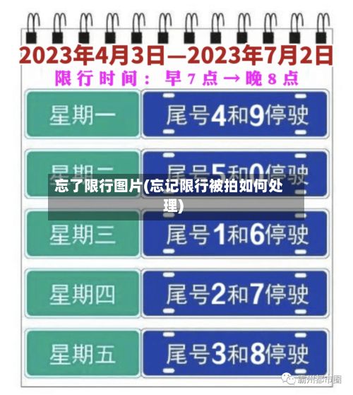 忘了限行图片(忘记限行被拍如何处理)