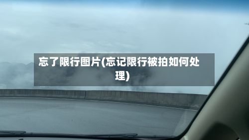 忘了限行图片(忘记限行被拍如何处理)-第2张图片
