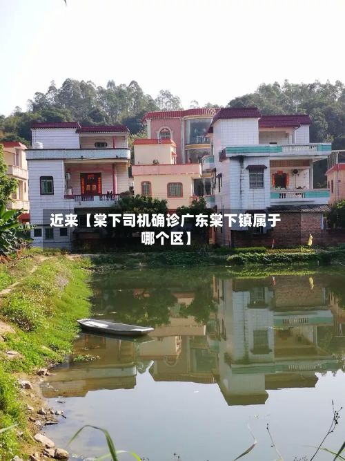 近来【棠下司机确诊广东棠下镇属于哪个区】