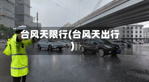 台风天限行(台风天出行)-第2张图片