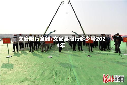 文安限行全部/文安县限行多少号2024年