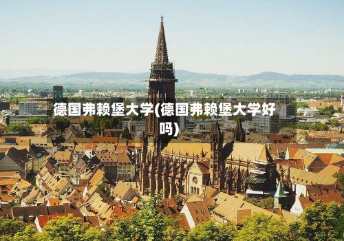 德国弗赖堡大学(德国弗赖堡大学好吗)