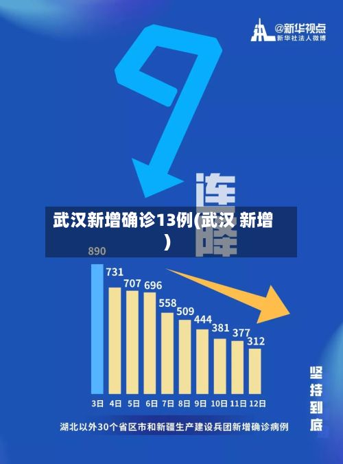 武汉新增确诊13例(武汉 新增)