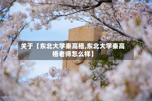 关于【东北大学秦高梧,东北大学秦高梧老师怎么样】-第3张图片