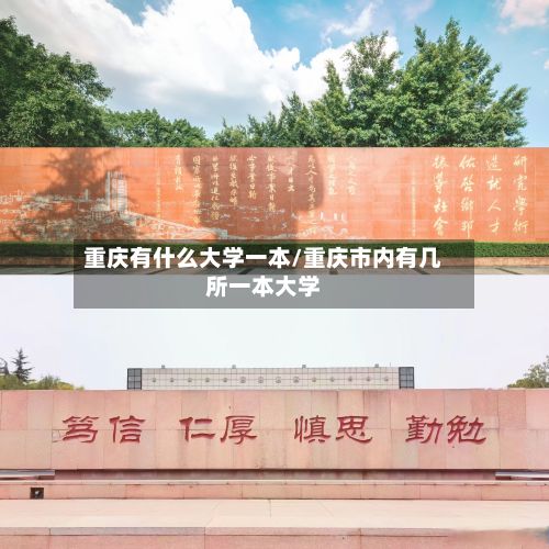 重庆有什么大学一本/重庆市内有几所一本大学-第2张图片