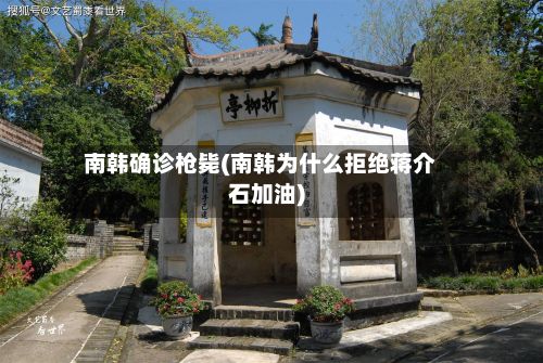 南韩确诊枪毙(南韩为什么拒绝蒋介石加油)