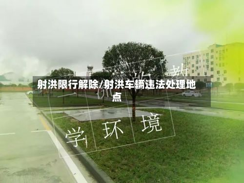 射洪限行解除/射洪车辆违法处理地点-第2张图片