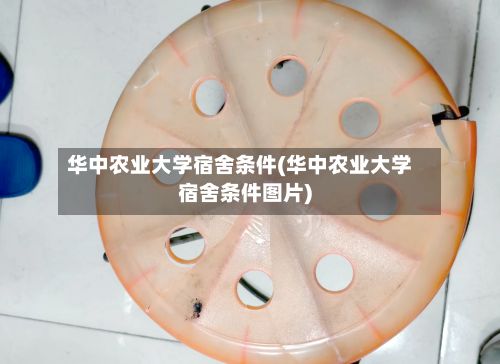 华中农业大学宿舍条件(华中农业大学宿舍条件图片)-第3张图片