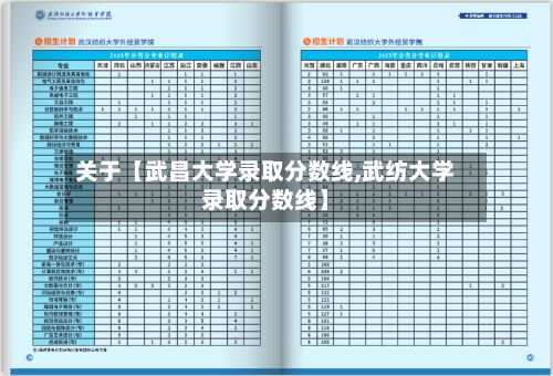 关于【武昌大学录取分数线,武纺大学录取分数线】