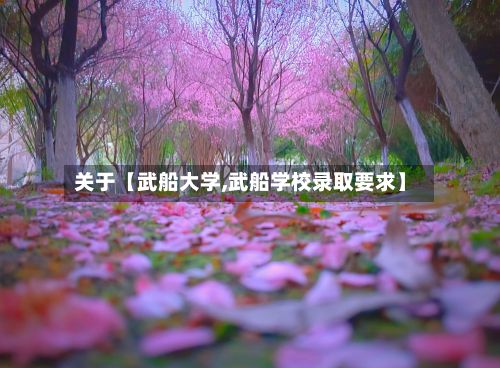 关于【武船大学,武船学校录取要求】