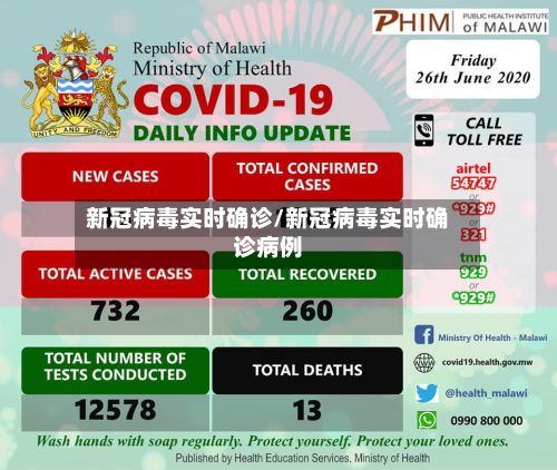 新冠病毒实时确诊/新冠病毒实时确诊病例