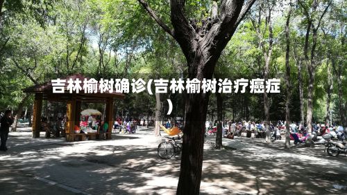 吉林榆树确诊(吉林榆树治疗癌症)