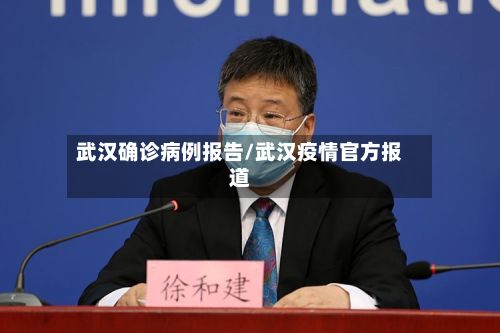武汉确诊病例报告/武汉疫情官方报道