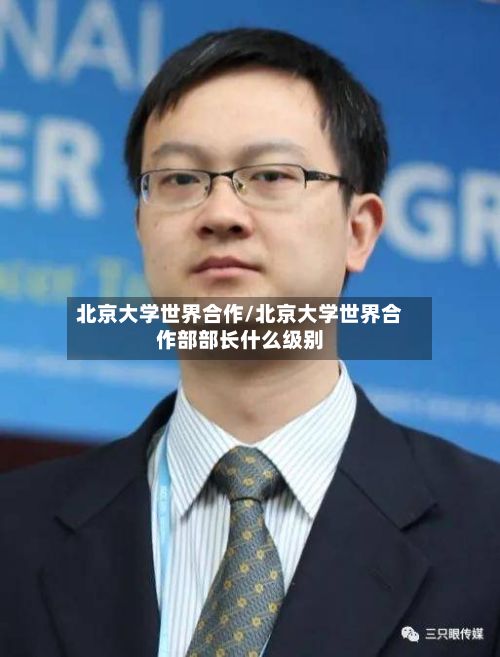 北京大学世界合作/北京大学世界合作部部长什么级别-第2张图片