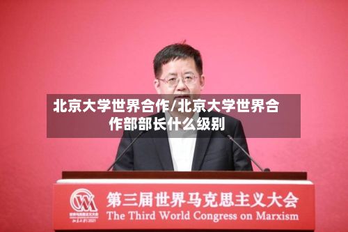 北京大学世界合作/北京大学世界合作部部长什么级别