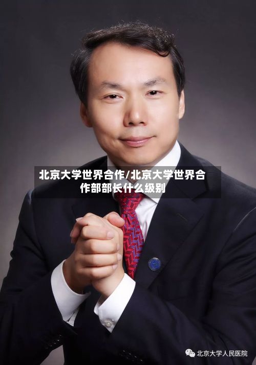 北京大学世界合作/北京大学世界合作部部长什么级别-第3张图片