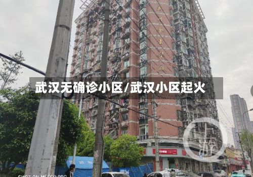 武汉无确诊小区/武汉小区起火