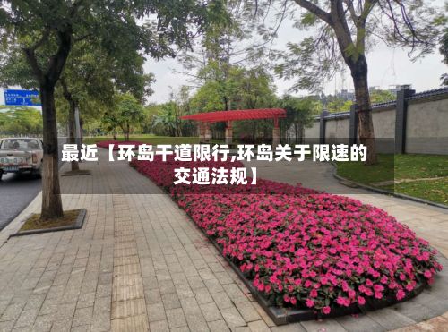 最近【环岛干道限行,环岛关于限速的交通法规】