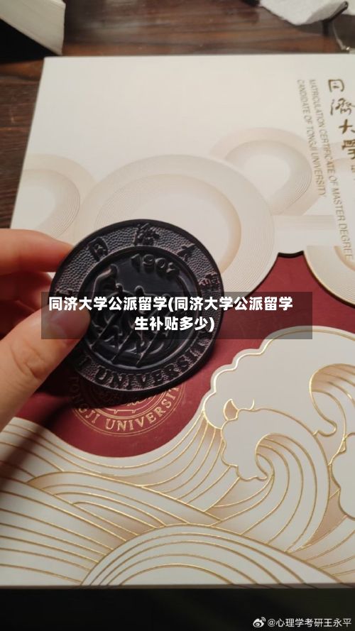 同济大学公派留学(同济大学公派留学生补贴多少)