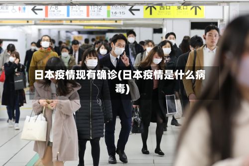 日本疫情现有确诊(日本疫情是什么病毒)-第2张图片