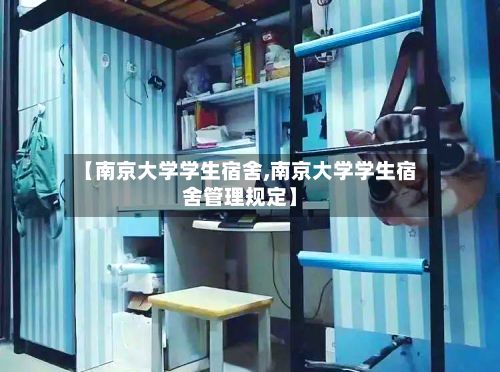 【南京大学学生宿舍,南京大学学生宿舍管理规定】