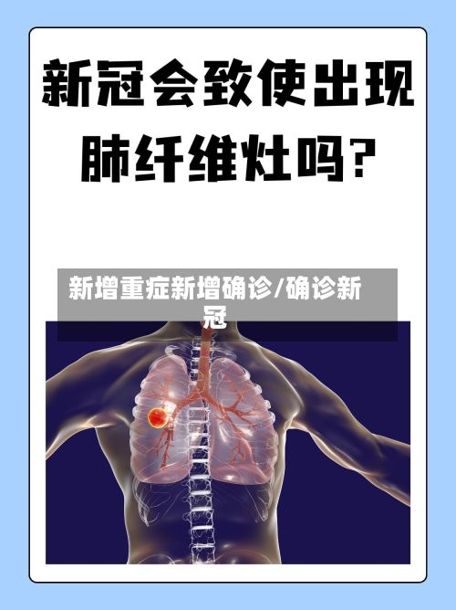 新增重症新增确诊/确诊新冠-第1张图片
