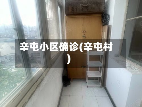 辛屯小区确诊(辛屯村)-第3张图片