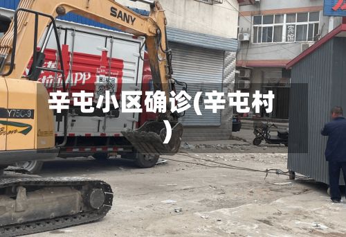 辛屯小区确诊(辛屯村)-第2张图片