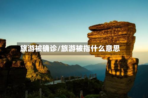 旅游被确诊/旅游被指什么意思-第3张图片