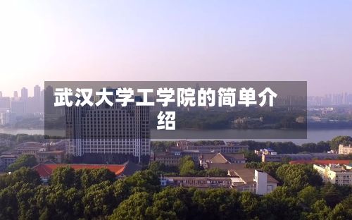 武汉大学工学院的简单介绍