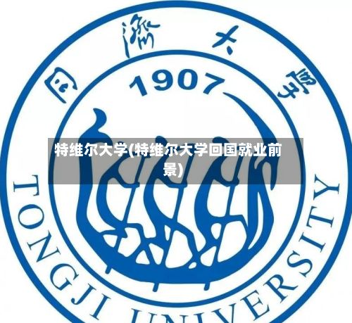 特维尔大学(特维尔大学回国就业前景)