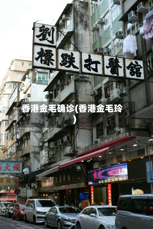 香港金毛确诊(香港金毛玲)