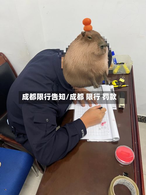 成都限行告知/成都 限行 罚款-第2张图片